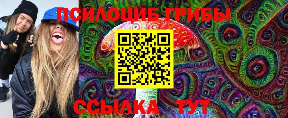 Галлюциногенные грибы GOLDEN TEACHER Менделеевск
