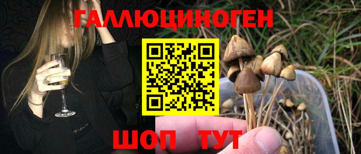 Псилоцибиновые грибы Cubensis  Вход с VPN  Галлюциногенные грибы Cubensis  Менделеевск 